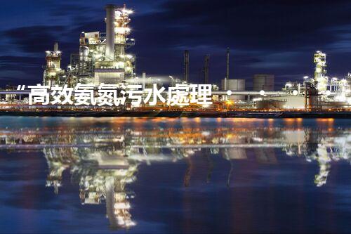 “高效氨氮污水處理，綠色環(huán)保新篇章”